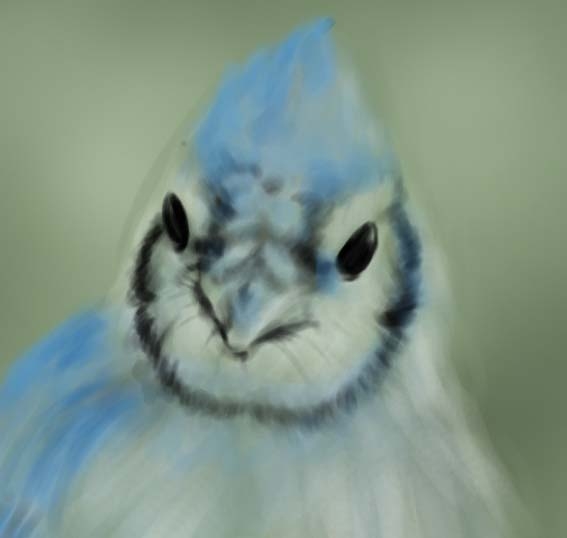 Creation of Little blue bird: Step 6
